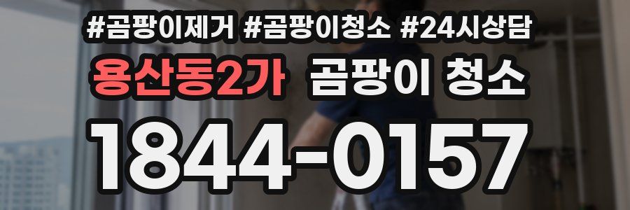 용산동2가 곰팡이 청소