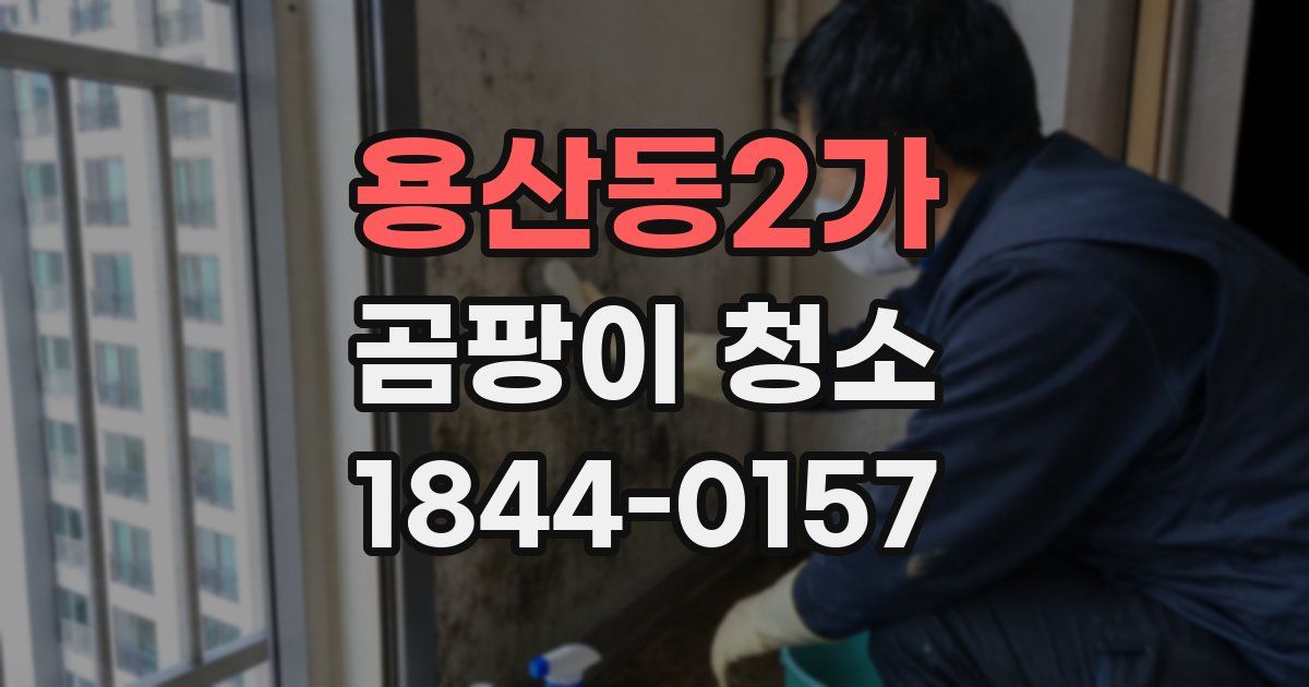 용산동2가 곰팡이 청소