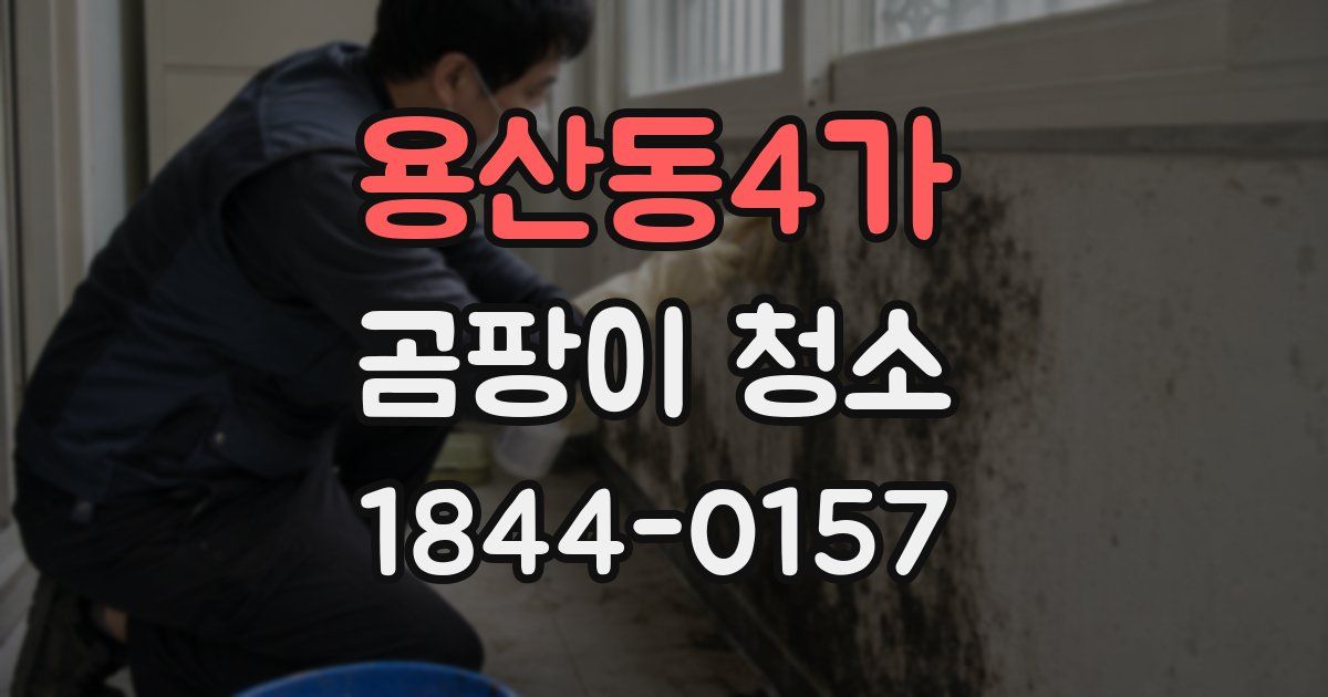 용산동4가 곰팡이 청소