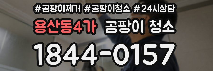 용산동4가 곰팡이 청소
