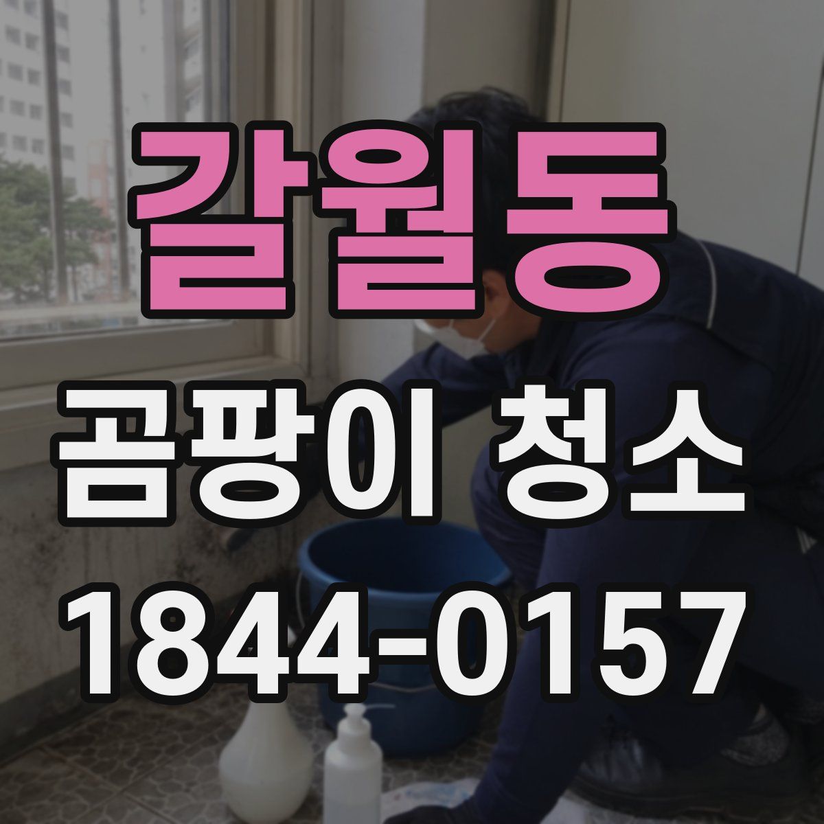 갈월동 곰팡이 청소