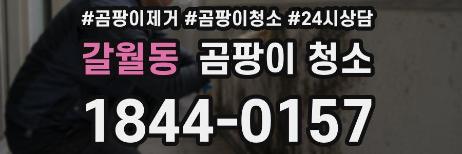갈월동 곰팡이 청소