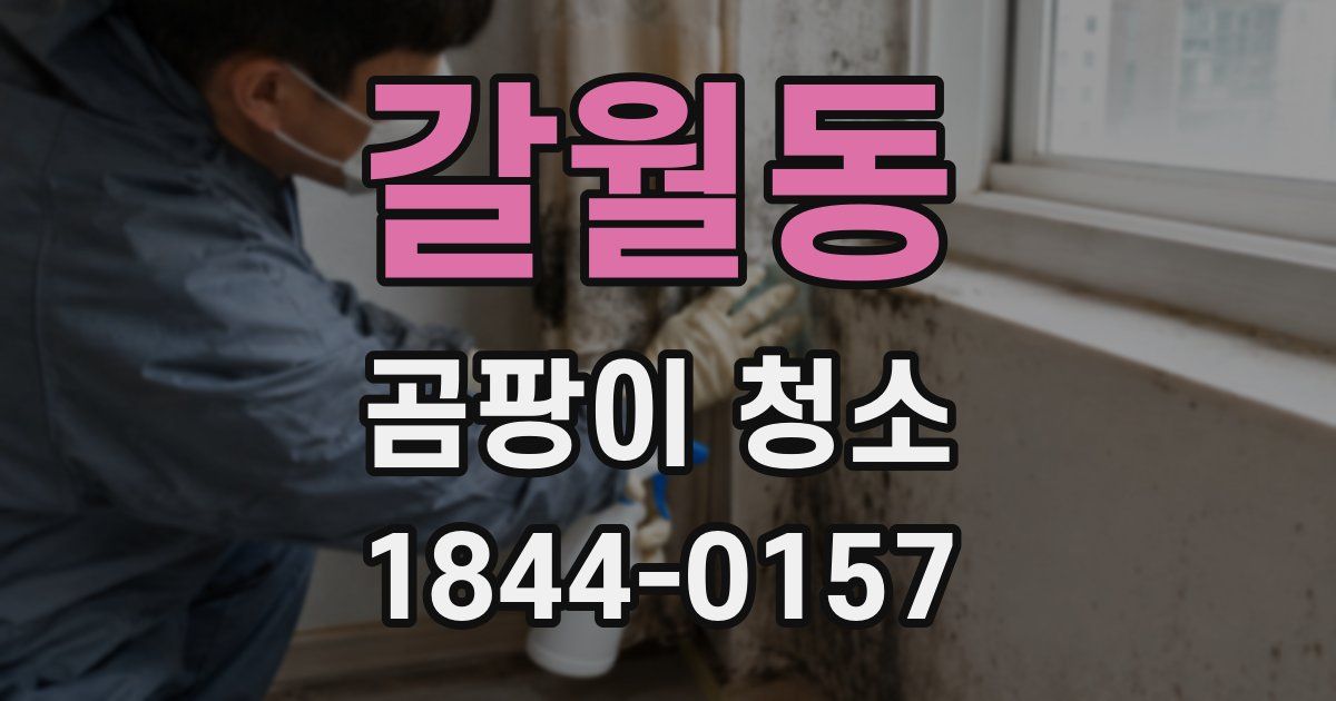 갈월동 곰팡이 청소