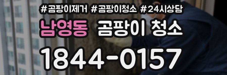남영동 곰팡이 청소