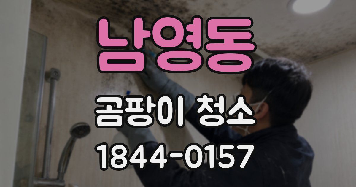 남영동 곰팡이 청소
