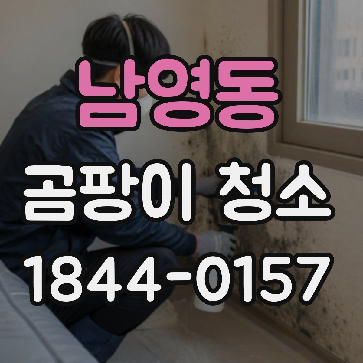 남영동 곰팡이 청소