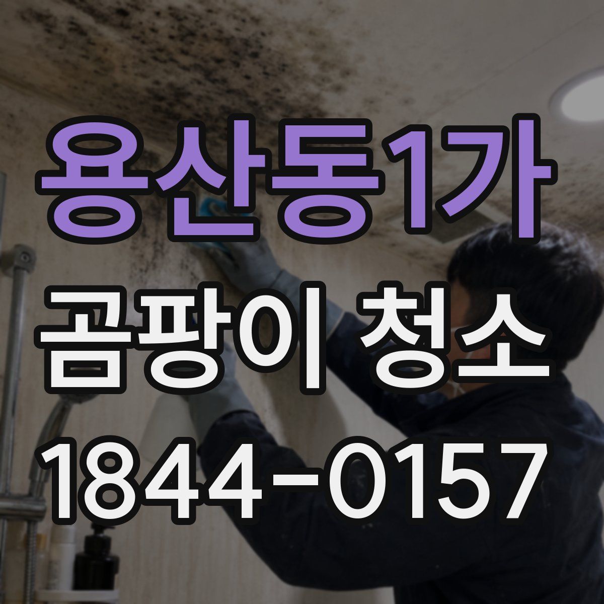 용산동1가 곰팡이 청소