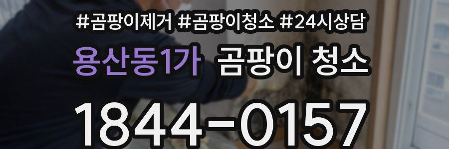 용산동1가 곰팡이 청소