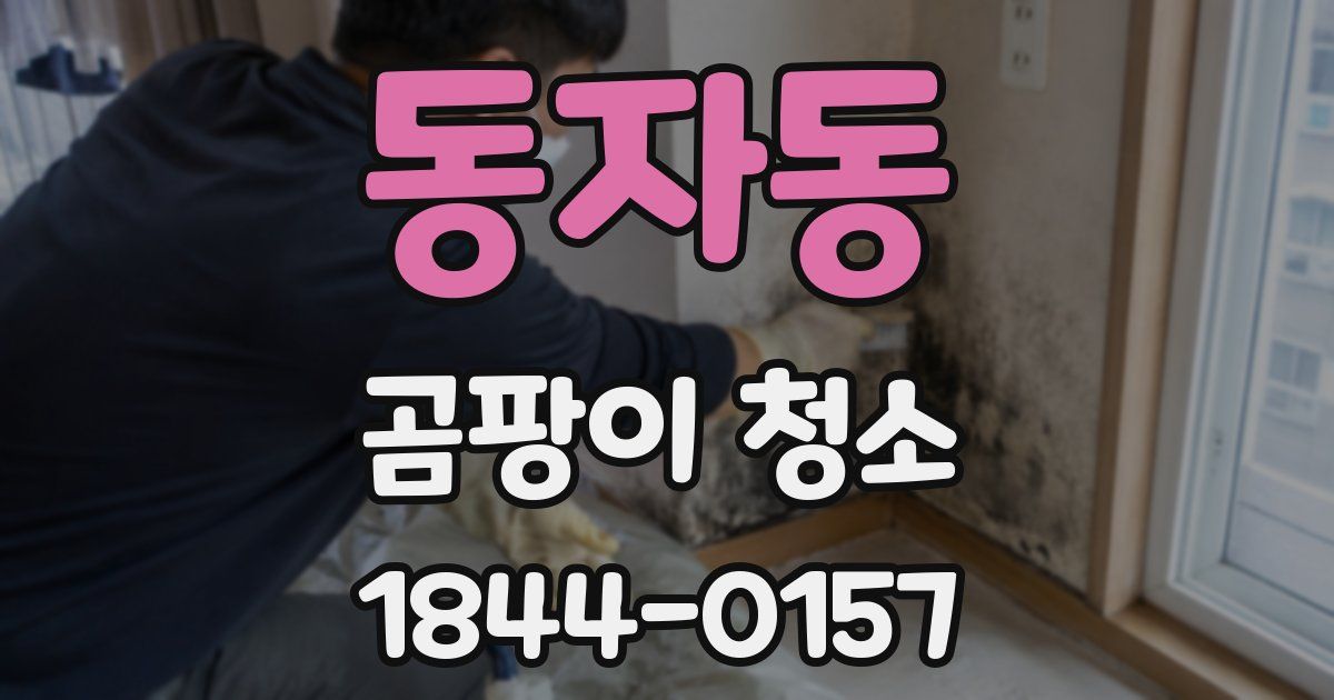동자동 곰팡이 청소
