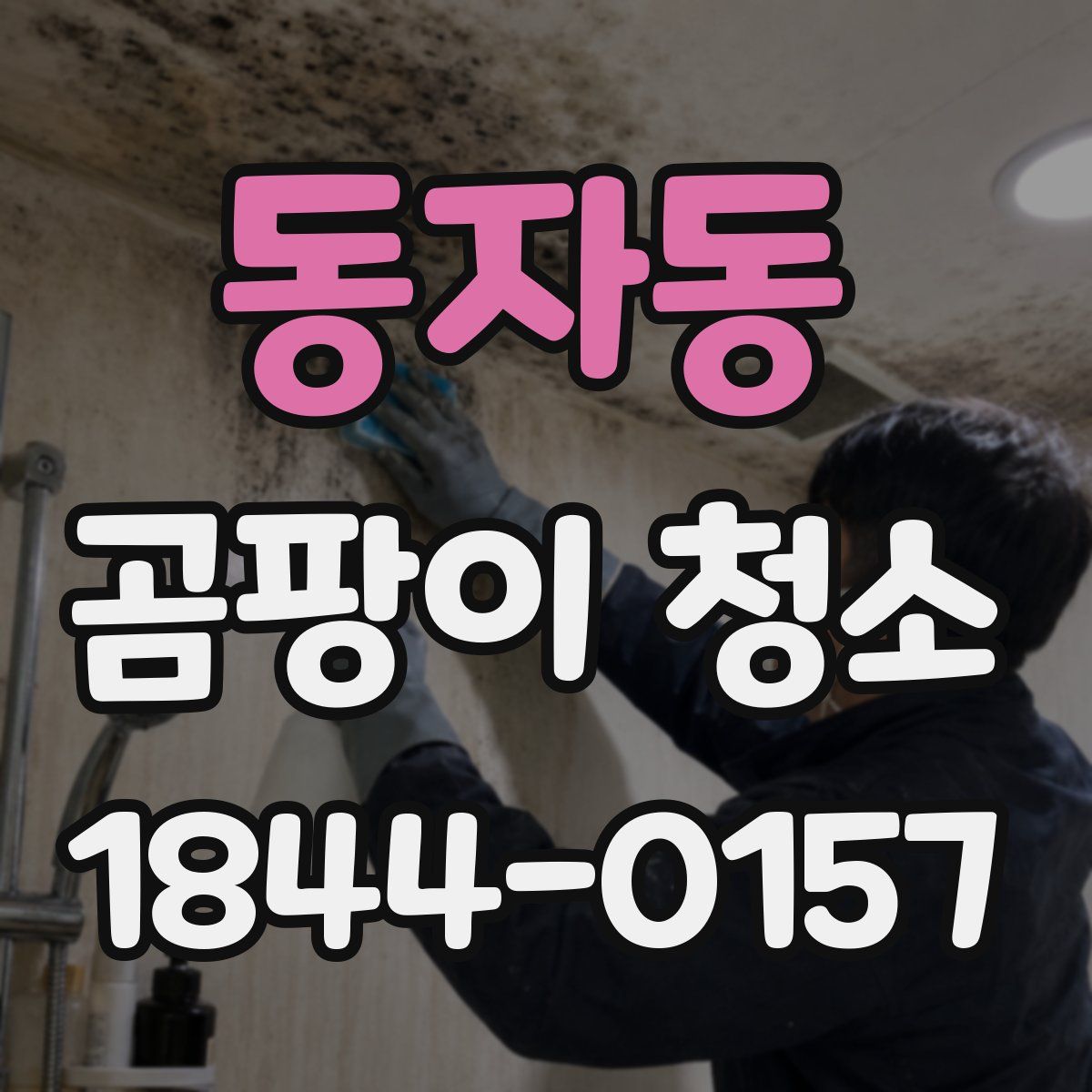 동자동 곰팡이 청소