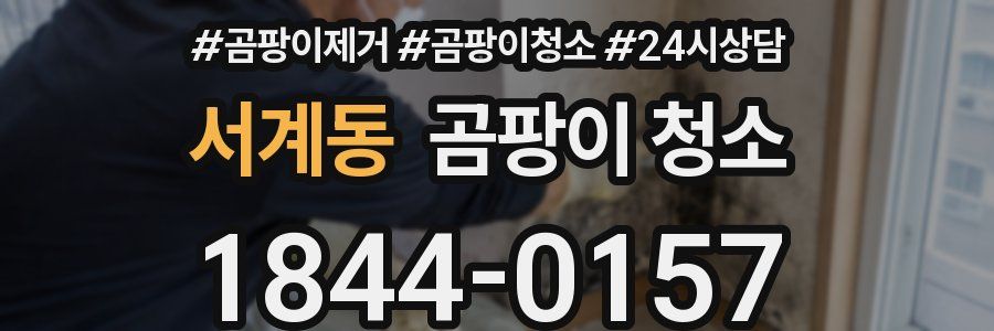 서계동 곰팡이 청소