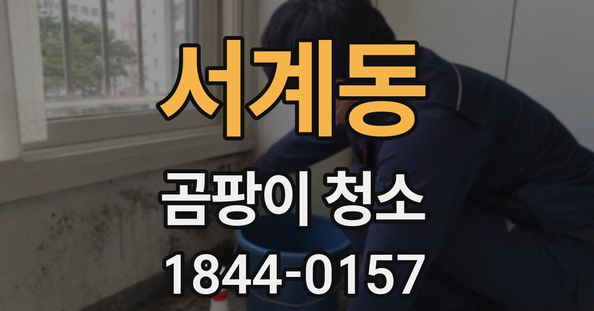 서계동 곰팡이 청소
