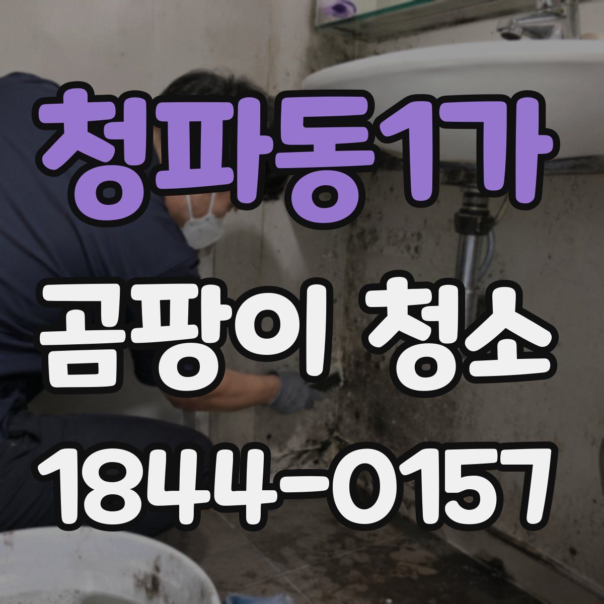 청파동1가 곰팡이 청소