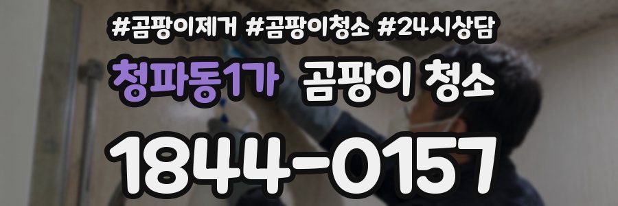 청파동1가 곰팡이 청소