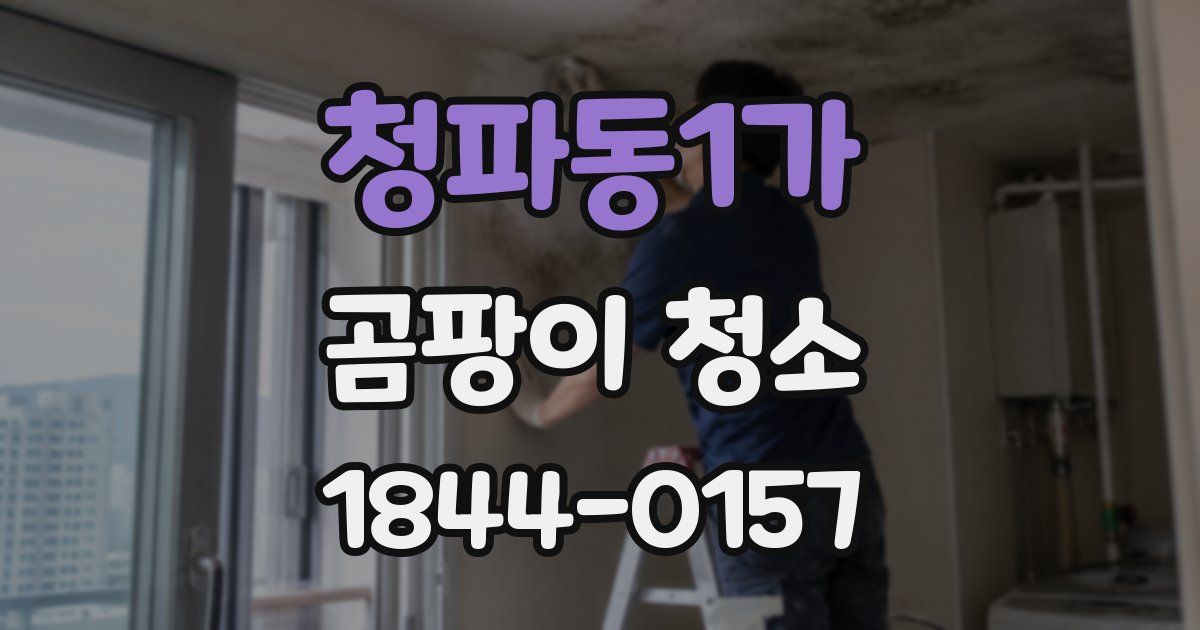 청파동1가 곰팡이 청소