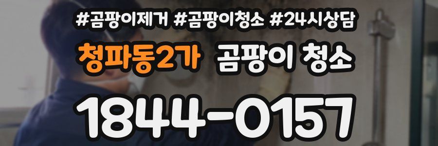 청파동2가 곰팡이 청소