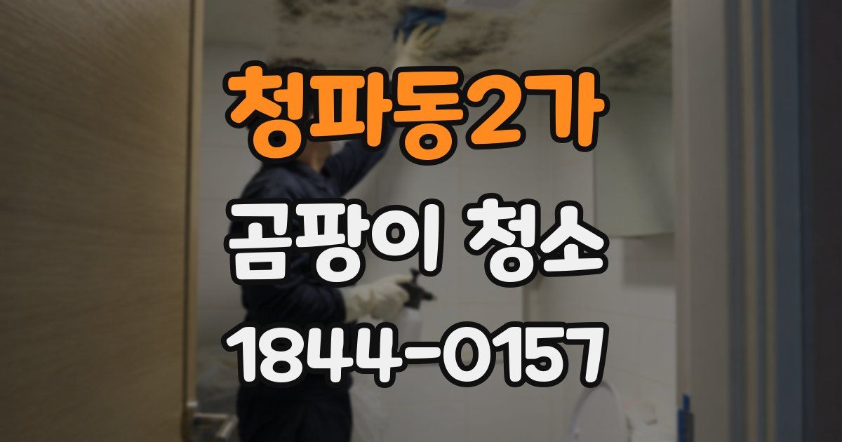 청파동2가 곰팡이 청소
