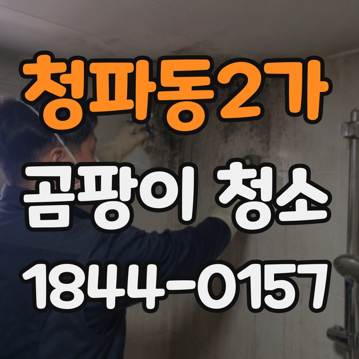 청파동2가 곰팡이 청소