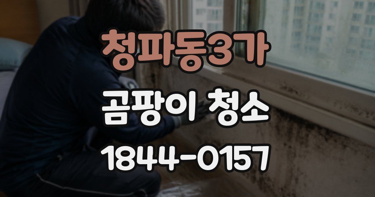 청파동3가 곰팡이 청소