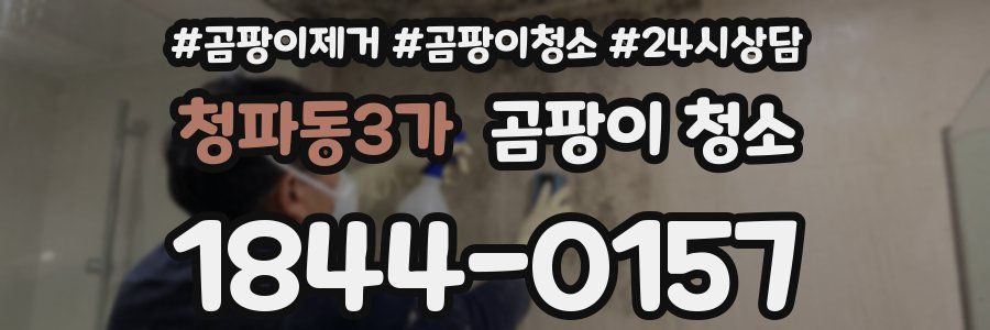 청파동3가 곰팡이 청소