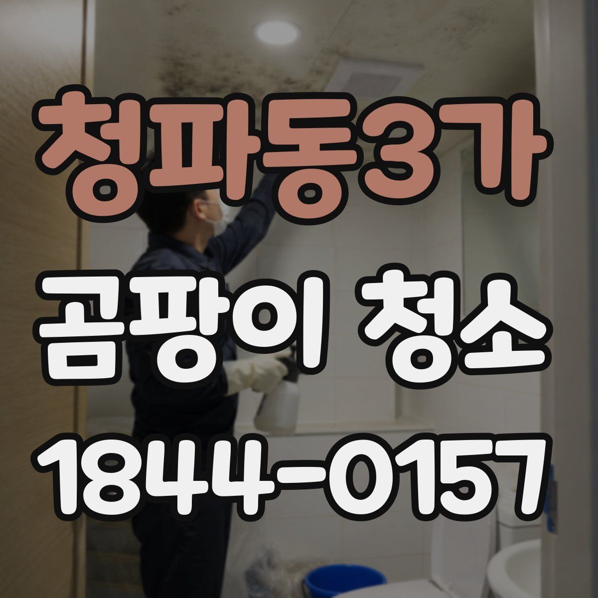 청파동3가 곰팡이 청소