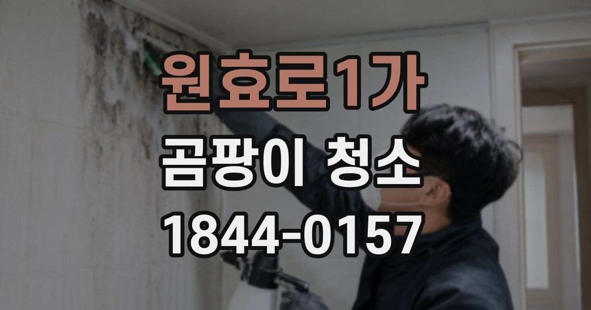 원효로1가 곰팡이 청소