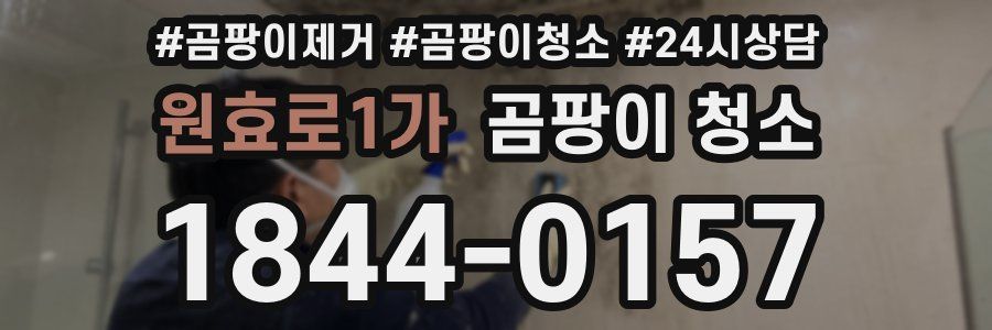 원효로1가 곰팡이 청소