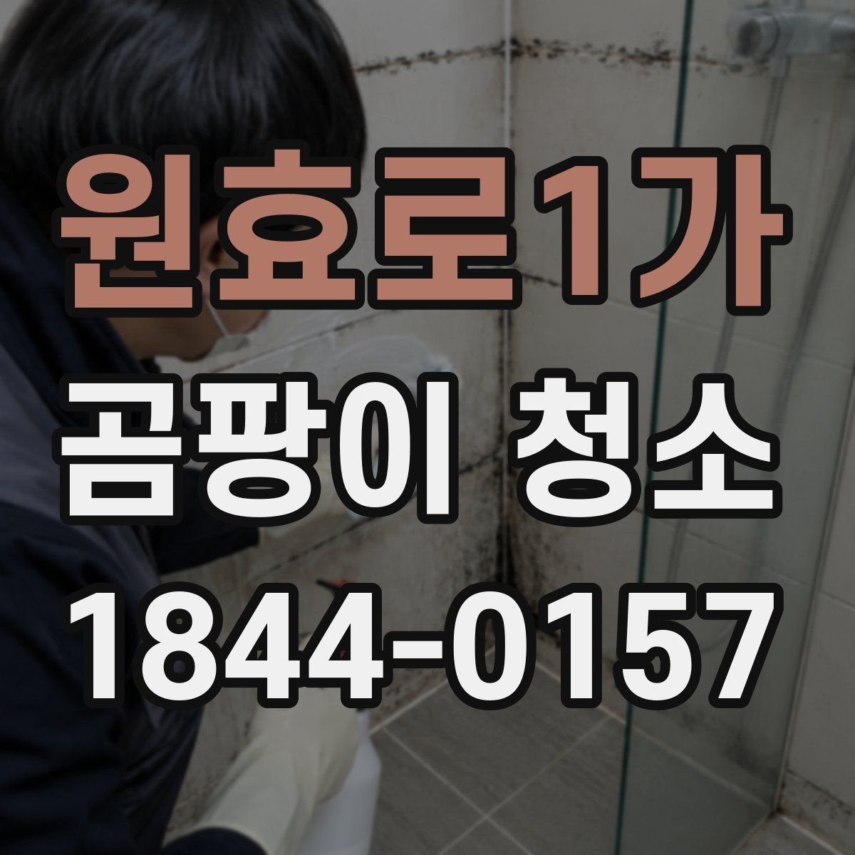 원효로1가 곰팡이 청소