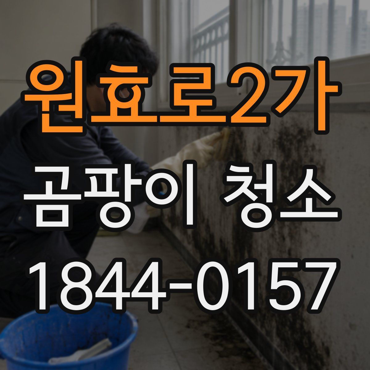 원효로2가 곰팡이 청소