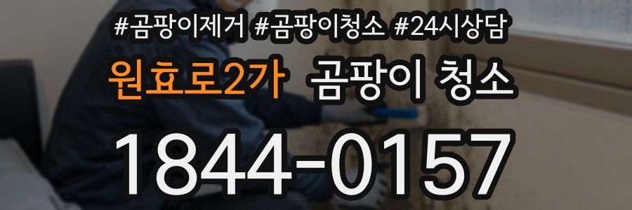 원효로2가 곰팡이 청소