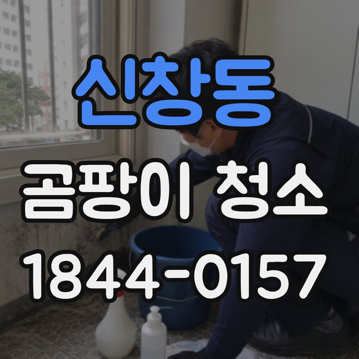 신창동 곰팡이 청소