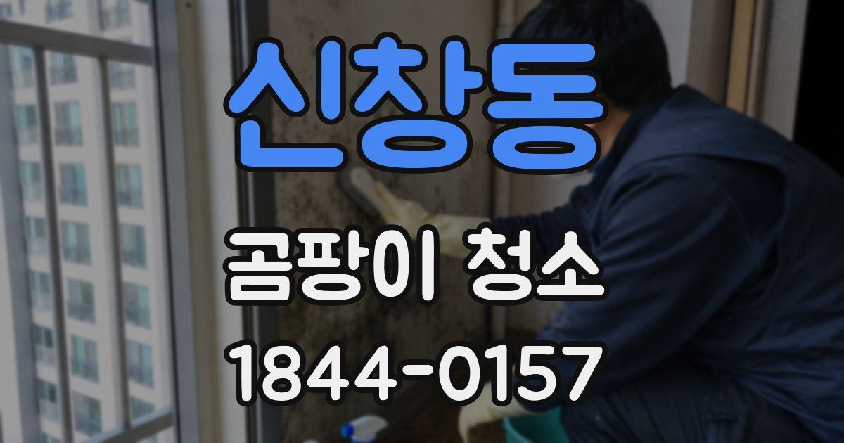신창동 곰팡이 청소