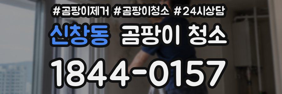 신창동 곰팡이 청소