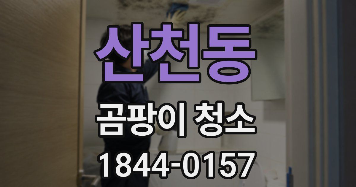 산천동 곰팡이 청소
