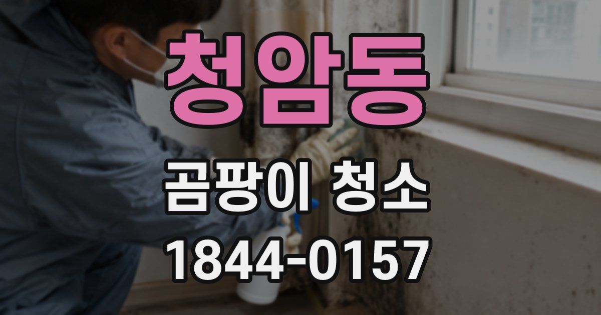 청암동 곰팡이 청소