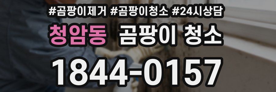 청암동 곰팡이 청소