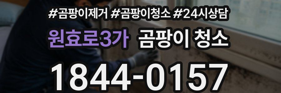 원효로3가 곰팡이 청소