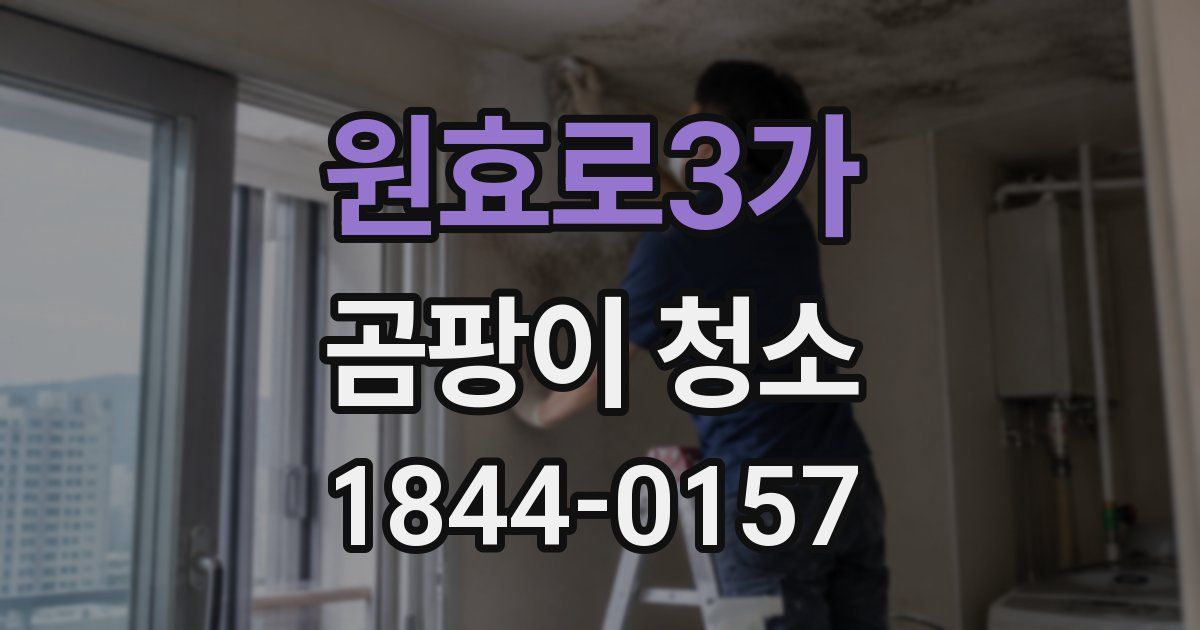원효로3가 곰팡이 청소