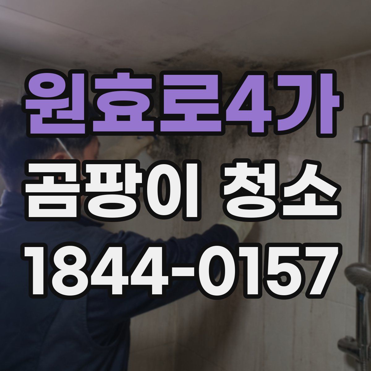 원효로4가 곰팡이 청소