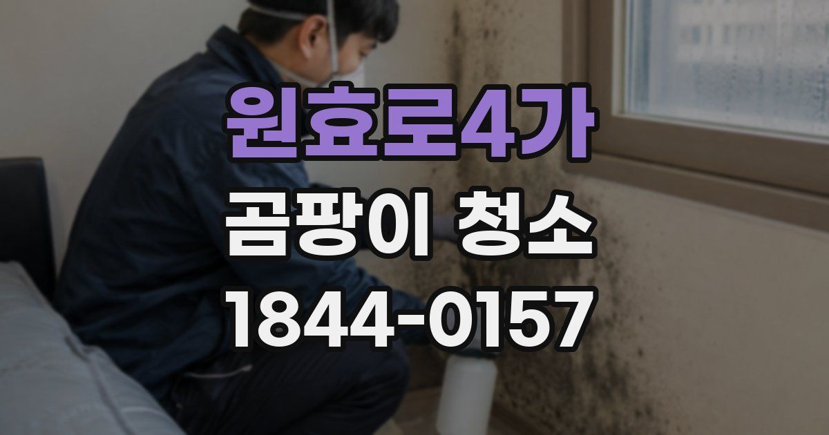 원효로4가 곰팡이 청소