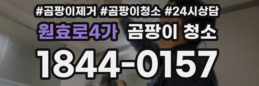 원효로4가 곰팡이 청소