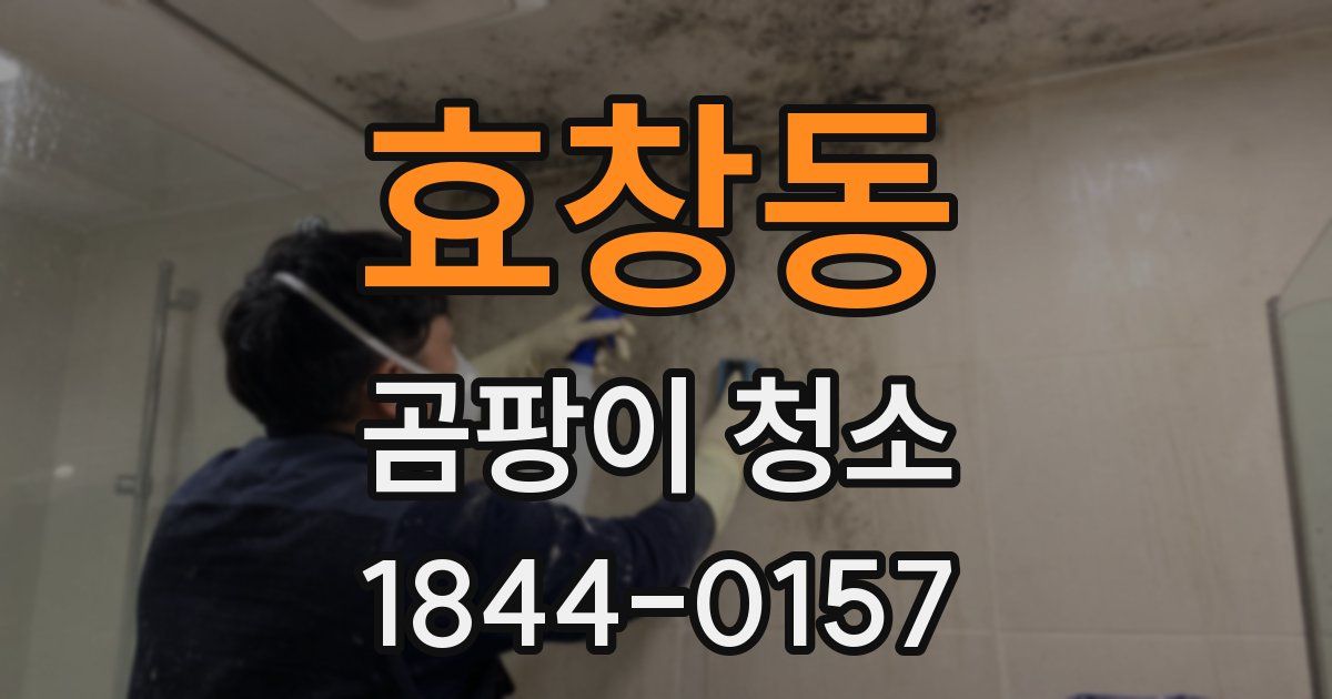 효창동 곰팡이 청소