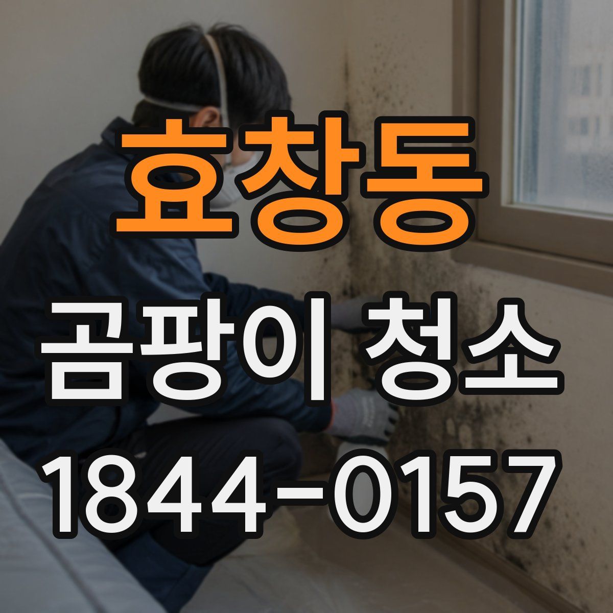 효창동 곰팡이 청소
