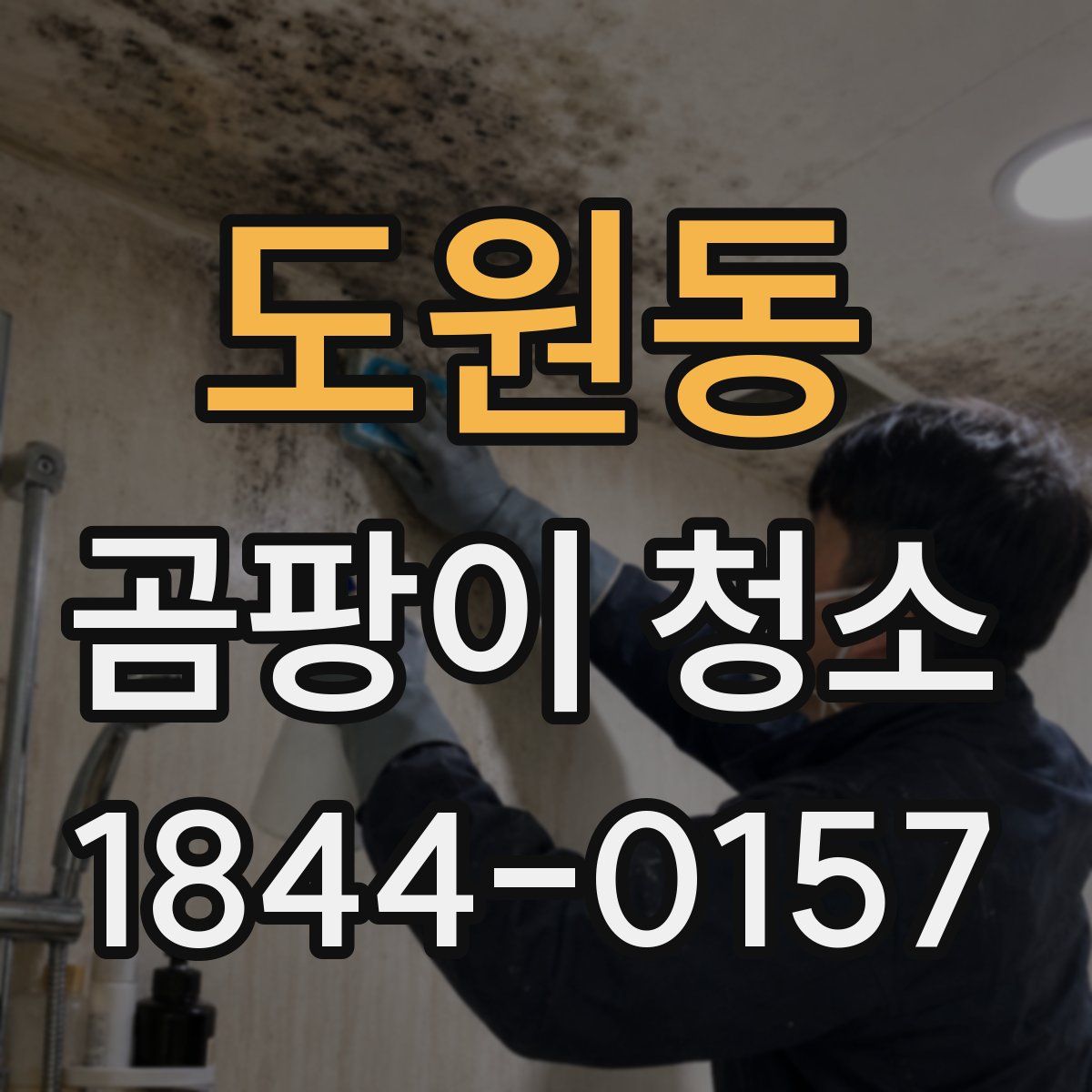 도원동 곰팡이 청소