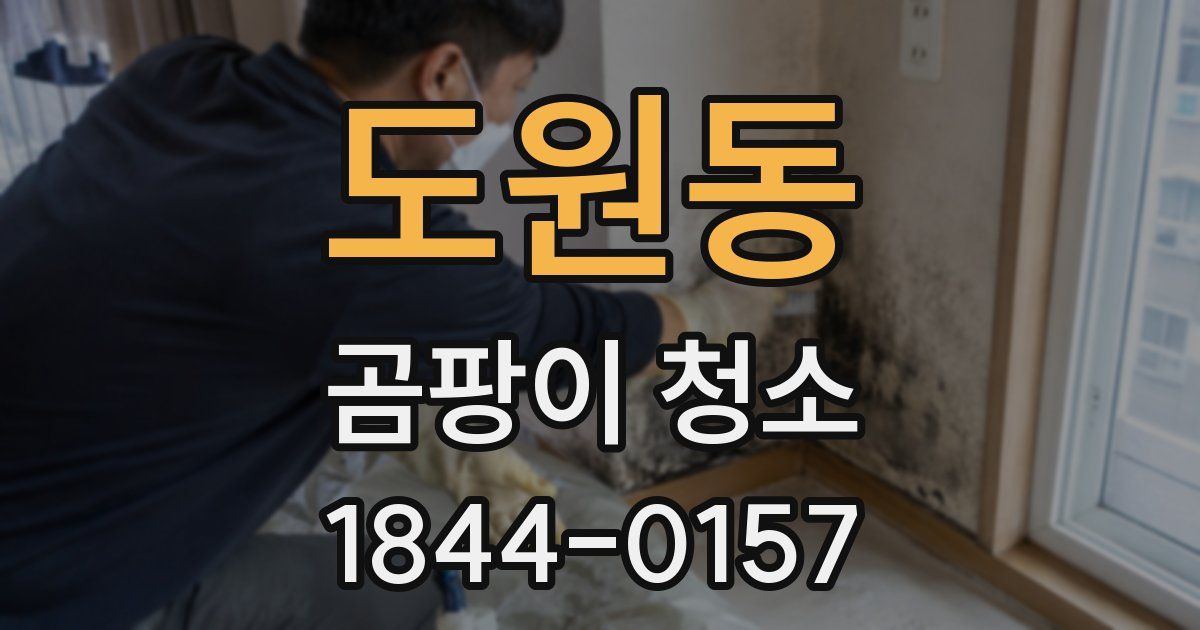 도원동 곰팡이 청소