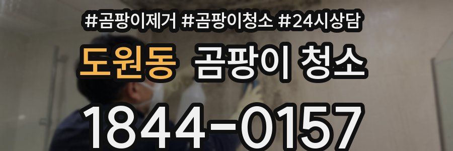 도원동 곰팡이 청소