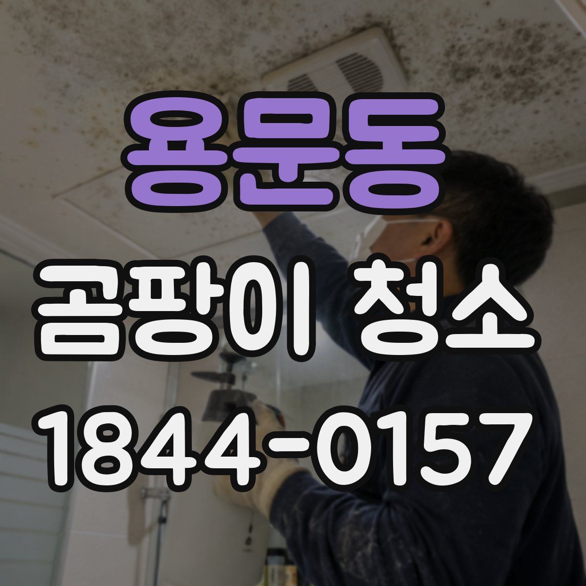 용문동 곰팡이 청소