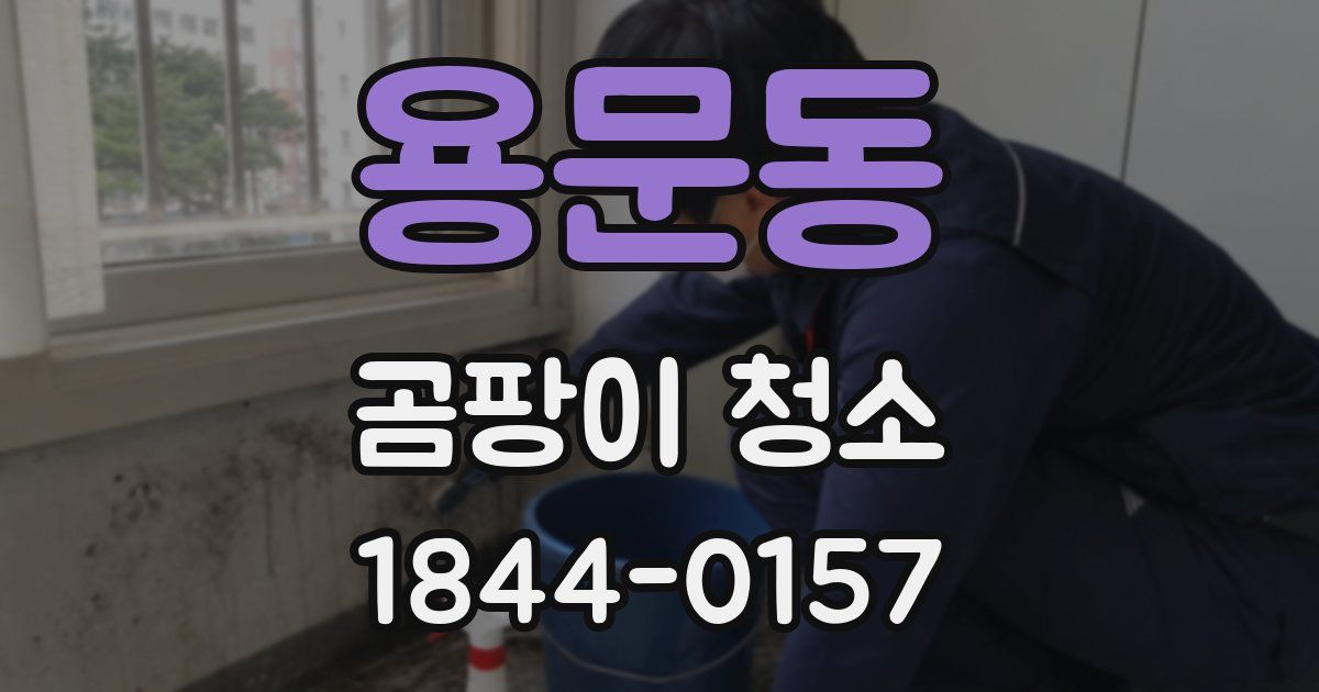 용문동 곰팡이 청소