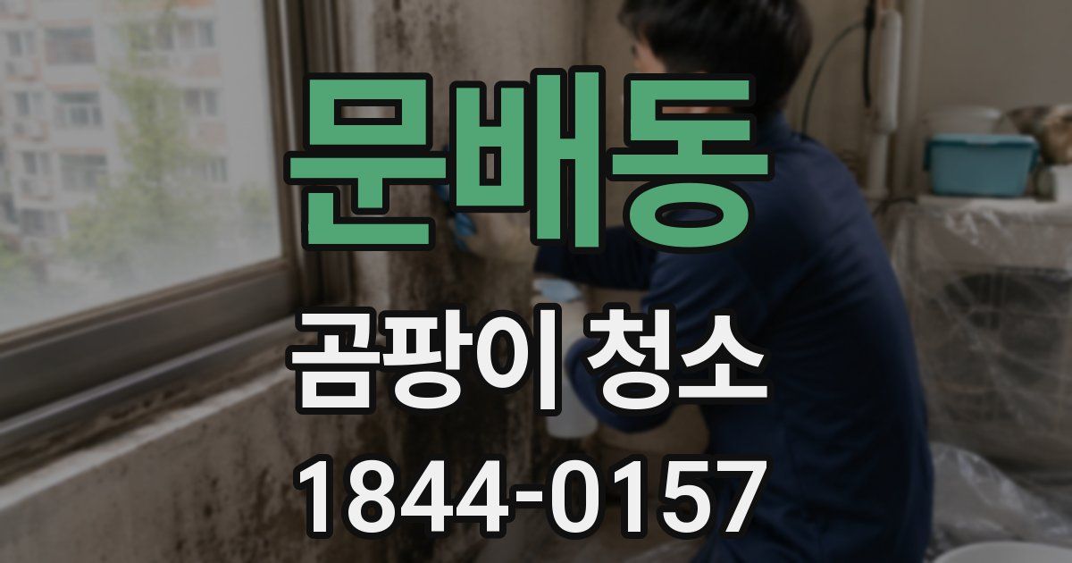 문배동 곰팡이 청소