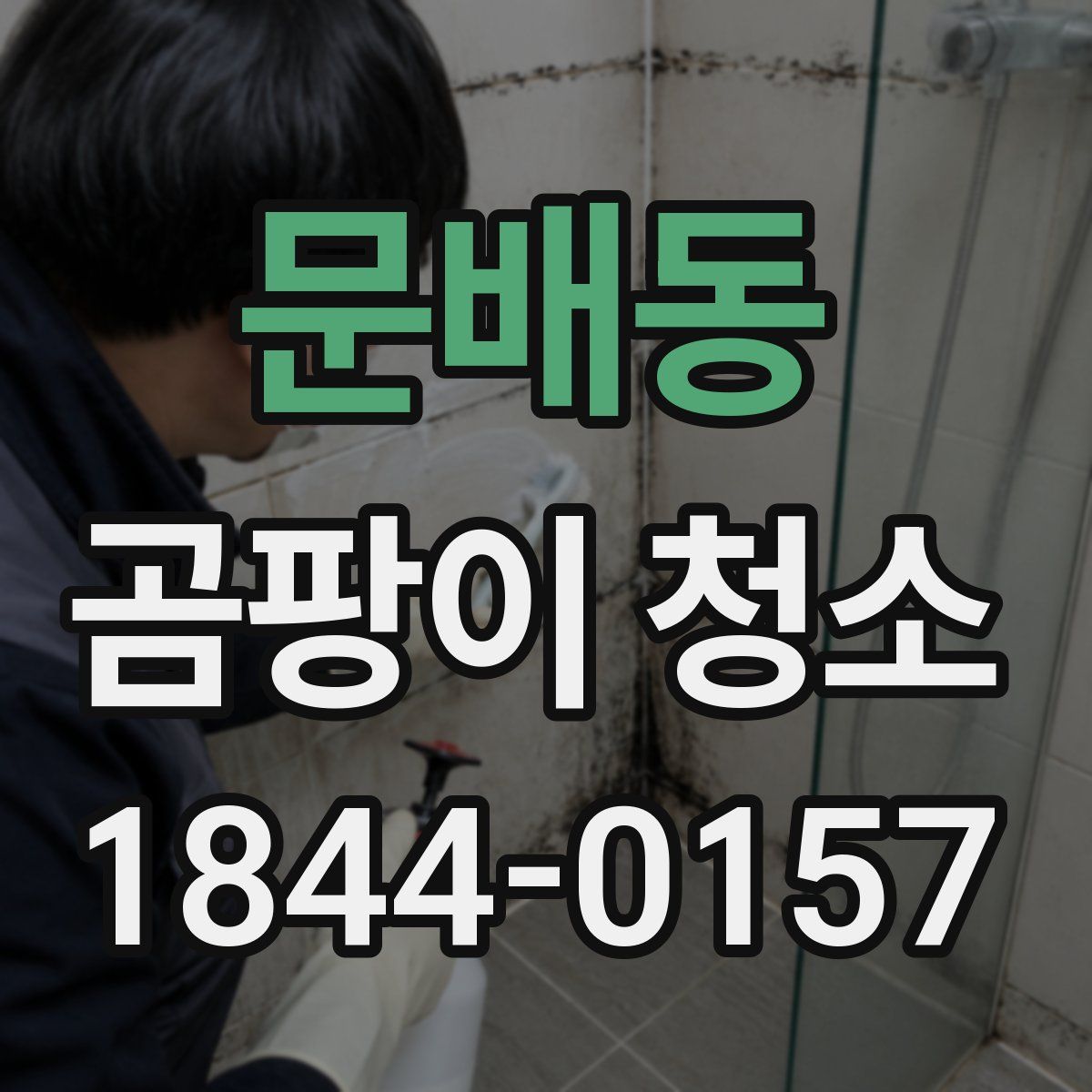 문배동 곰팡이 청소